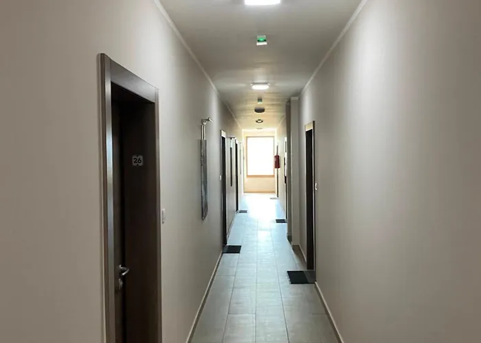 Omorika Lux Apartment Zlatibor